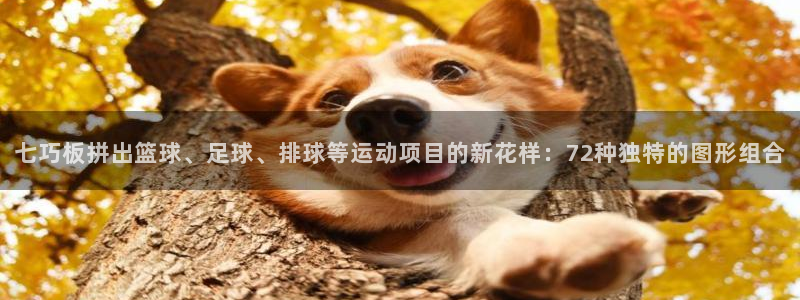 中欧体育官网：七巧板拼出篮球、足球、排球等运动项目的新花样：72种独特的图形组合