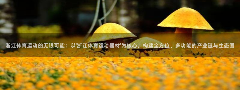 中欧体育最新地址