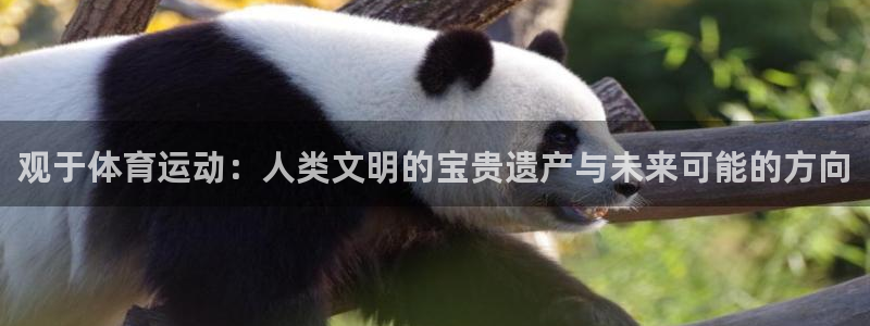 中欧体育最新地址：观于体育运动：人类文明的宝贵遗产与未来可能的方向