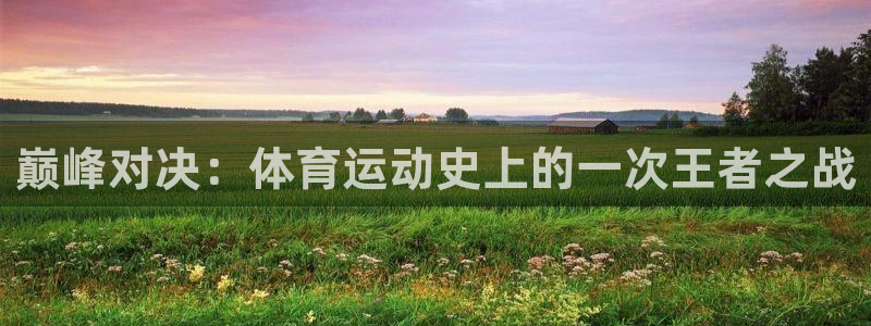 中欧体育集团：巅峰对决：体育运动史上的一次王者之战